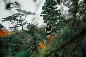 BIB: 
                            <button type="button" onclick="openModal(25258206)" class="btn btn-primary btn-sm float-right btn-popup" data-toggle="modal" data-target=".modal-high-quality">
                        <i class="fas fa-shopping-cart"></i> Add to Cart
                    </button>
                                            <button type="button" onclick="isThisMe(25258206, true)" class="btn btn-success btn-sm float-right btn-popup btn-isme hidden" data-toggle="tooltip" data-placement="bottom" title="นี่คือรูปของคุณใช่ไหม คลิกที่นี่เพื่อเอาเข้าอัลบั้ม">
                        <i class="fas fa-plus"></i> Add to album
                    </button>
                    <button type="button" onclick="isThisMe(25258206, false)" class="btn btn-warning btn-sm float-right btn-popup btn-isnotme hidden">
                        <i class="fas fa-ban"></i> Remove from album
                    </button>